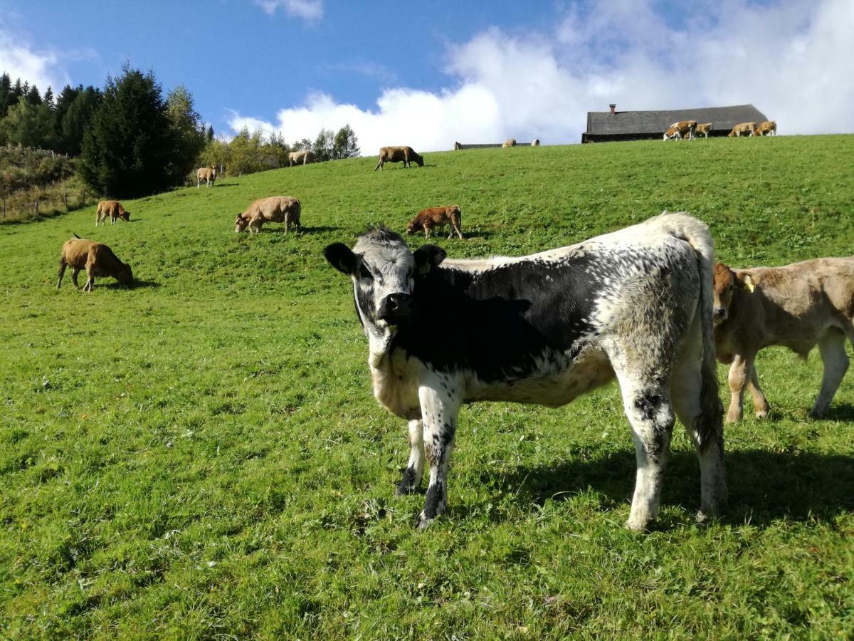 Almhutte Grosserhutte Sankt Wolfgang Eksteriør bilde